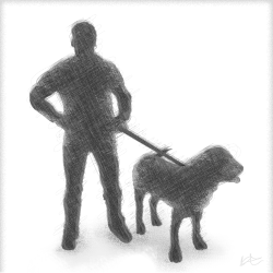 Grosser Schweizer Sennenhund Silouette