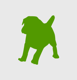 Swissydog Sennenhund Silouette Swissydog Sennenhund Silouette