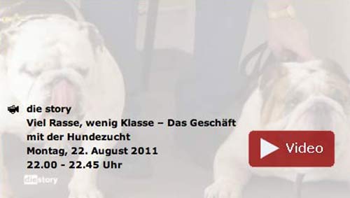 Viel Rasse, wenig Klasse WDR Sendung